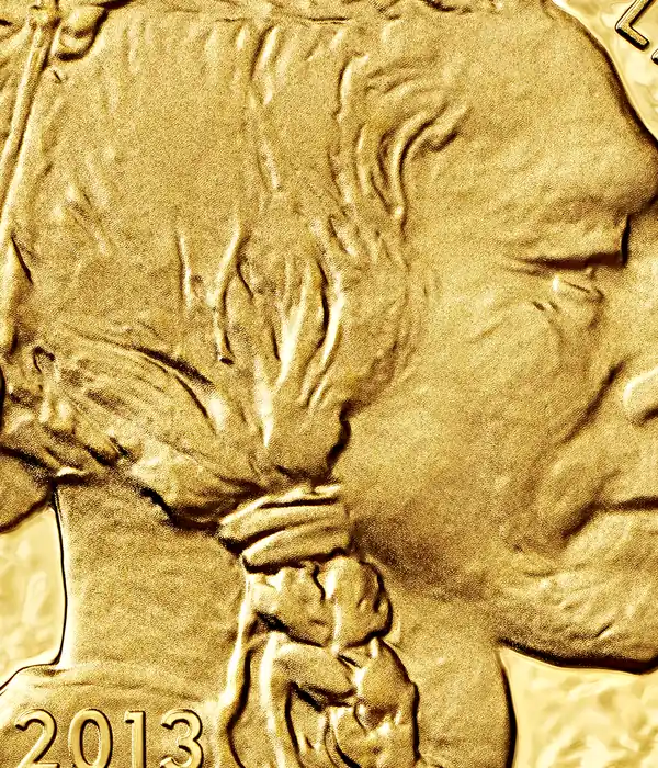 American Buffalo 1 oz 999.9, detail close-up