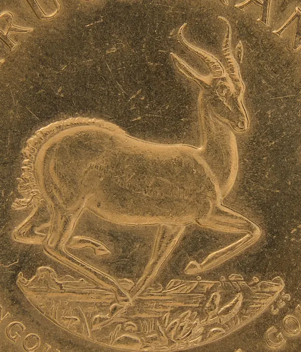 Krugerrand 1 oz 916.7, detail lähivaates