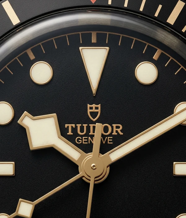 Tudor Black Bay 58 M79030N-0001, dial close-up